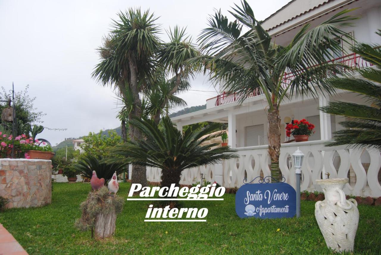 Santa Venere Apartments "Parcheggio Privato" Ricarica Auto Elettriche Tropea Eksteriør bilde
